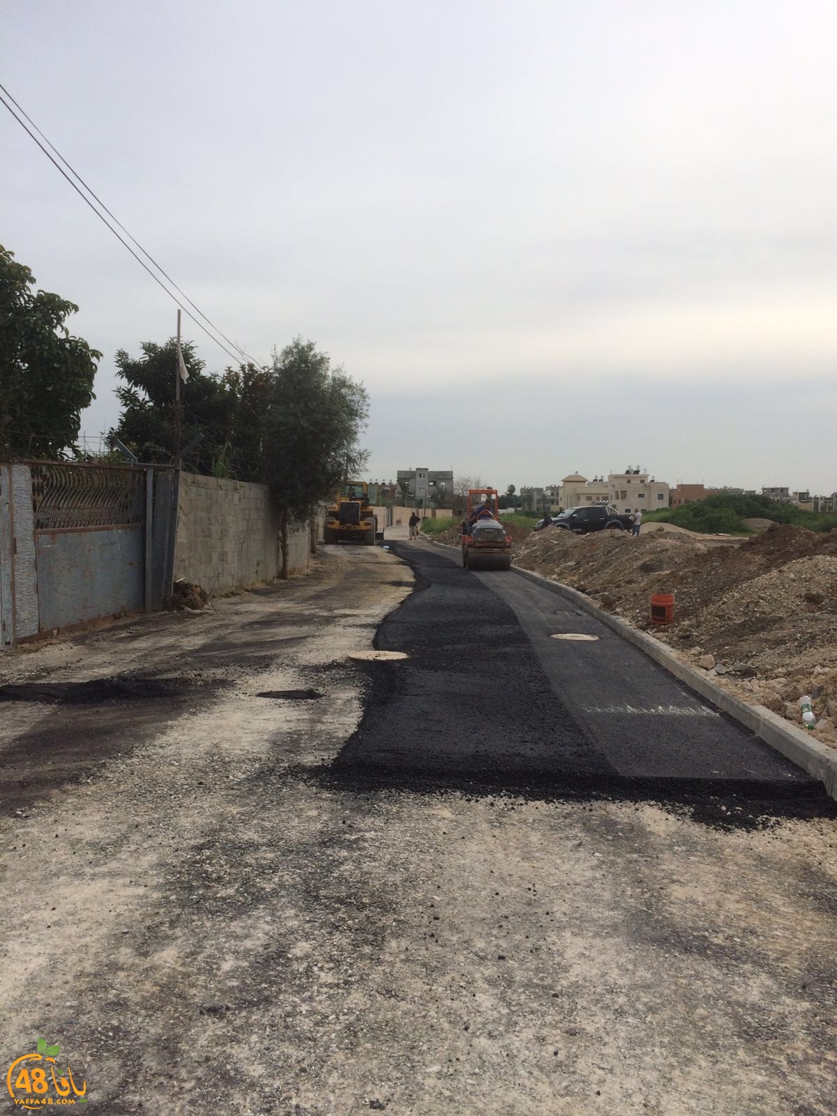 lud street shanir (7).jpg